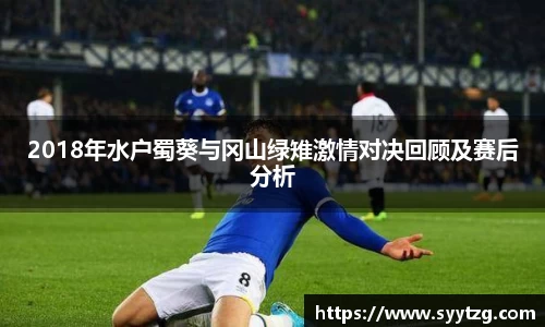 2018年水户蜀葵与冈山绿雉激情对决回顾及赛后分析